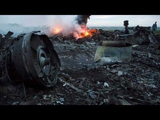 Russian BUK missile shot down MH 17 says reports