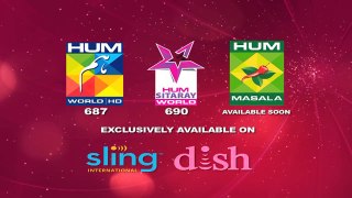 Woh Aik Pal Episode 8 Full HD HUM TV Drama 29 April 2017