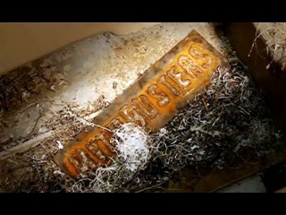 MythBusters- Folding Paper Seven plus times