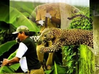 Laugh with the strangest photos taken at the right moment