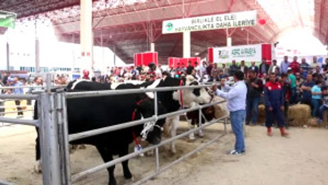 Teke Yöresi 3. Tarım ve Hayvancılık Fuarı