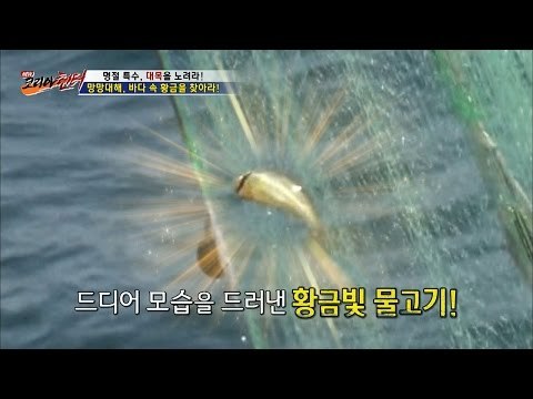 드디어 모습을 드러낸 황금 조기! [뉴 코리아 헌터] 14회 20160907