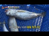 대물이 걸렸다! 황금 조기! [뉴 코리아 헌터] 14회 20160907