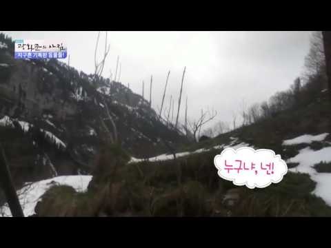 “길 잃어버렸냥” 길 잃은 등산객이 익숙한 고양이! [광화문의 아침] 310회 20160905