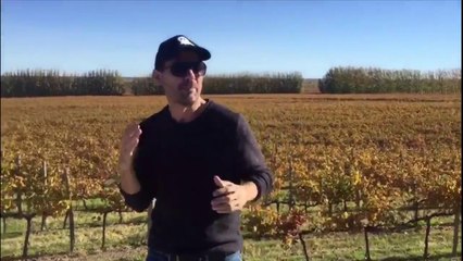 Despacito...Abracadabra de gira en Neuquén - 29 de Abril