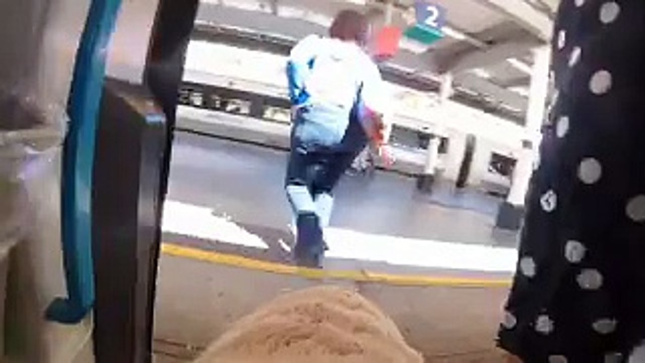 Un homme aveugle installe une caméra sur son chien guide. Puis les images filmées par la caméra dévoilent l'horrible vé