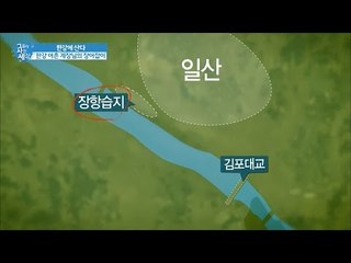 김포대교에서 장어를 잡는다 [그들이 사는 세상] 9회 20160904
