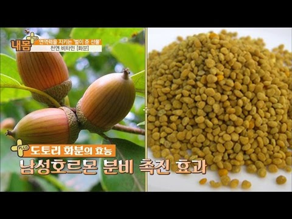 생명력의 상징, 스테미나에 굿! 천연 비타민 ‘이것’! [내 몸 플러스] 22회 20...