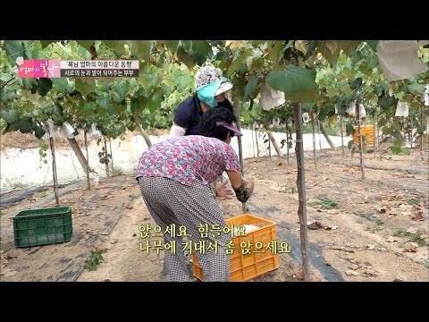아픈 몸에도 불구하고 엄마가 일을 하는 이유는? [엄마의 봄날] 57회 20160904