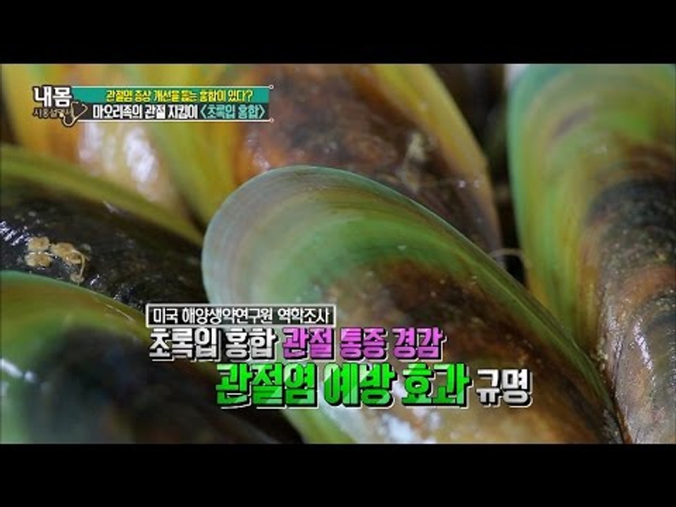 초록색 껍데기 홍합? 마오리족의 관절 지킴이! [내 몸 사용설명서] 118회 2016...