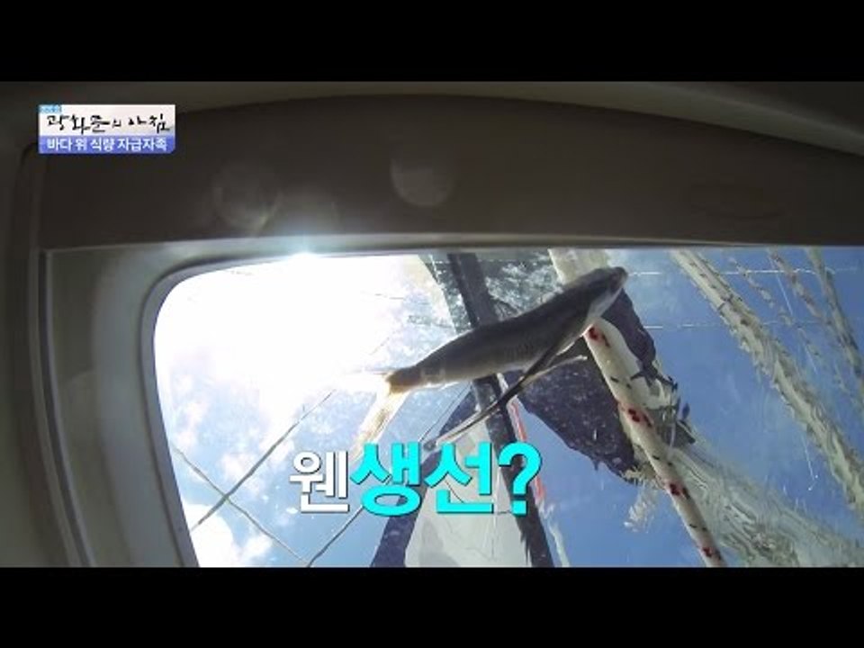 바다 위 자급자족! 눈뜨면 머리위에 생선이?! [광화문의 아침] 309회 20160902