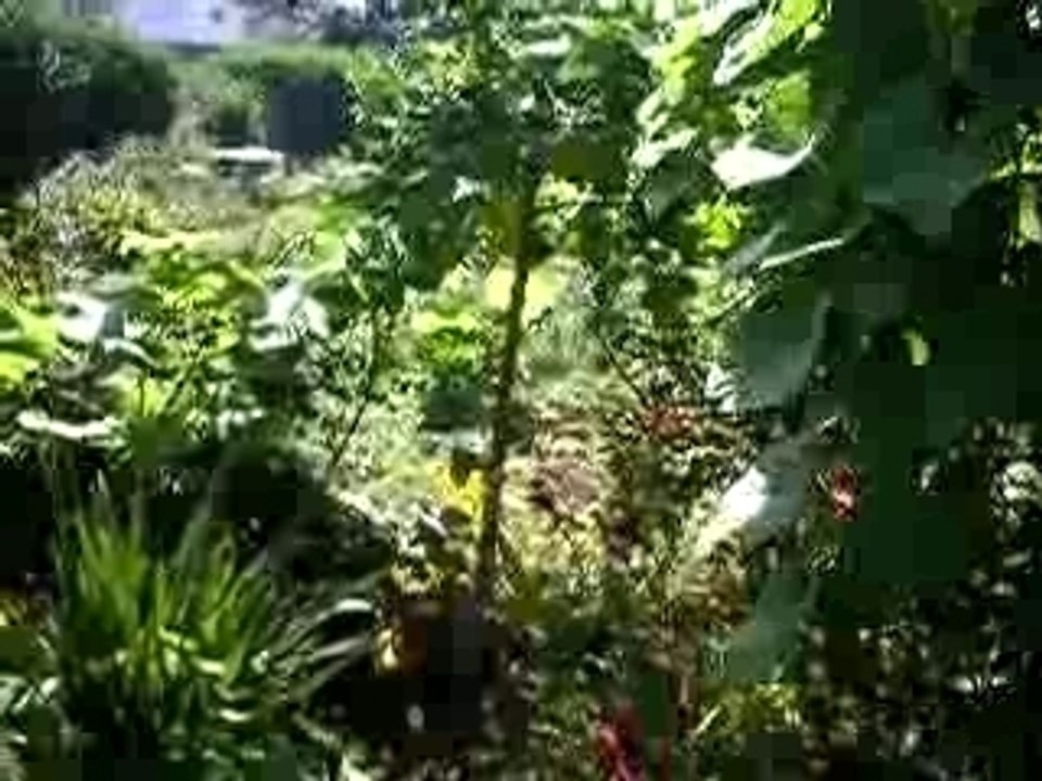 Visite d'Automne au jardin Pédagogique du Guelmeur Brest