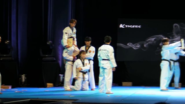 Korean Tigers Taekwondo