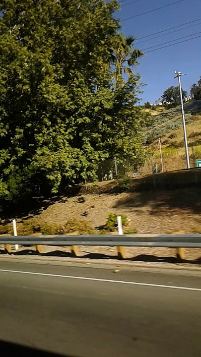 VID_20170429_172559