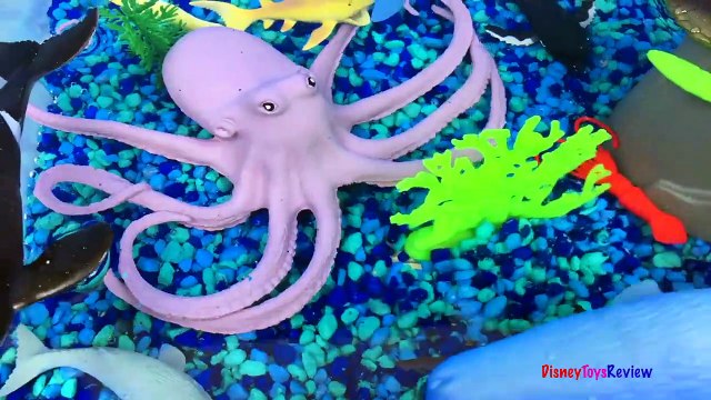 ANIMAL PLANET MEGA OCEAN TUB SHARKS DOLPHINS TURTLES SEAHORSE STARFISH OCTOPUS WHALE CRAB - UNBOXING-xw7X