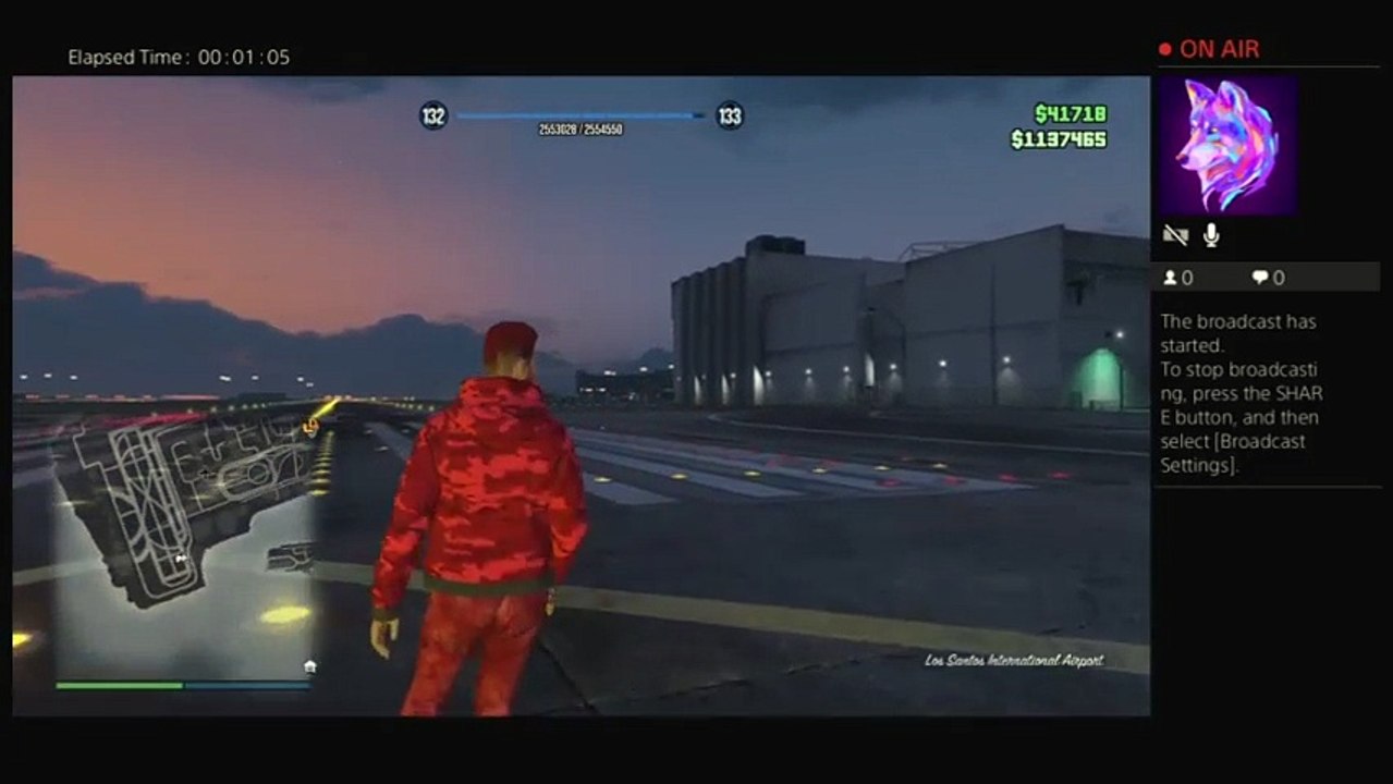 GTA5 WTF (4)