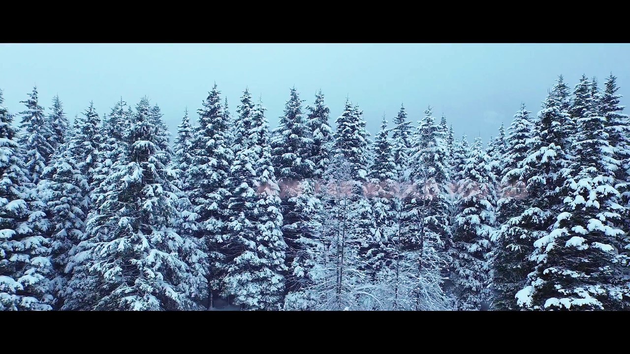 NUMB