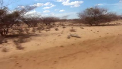 Tika'dan Kenya'ya Gıda Yardımı