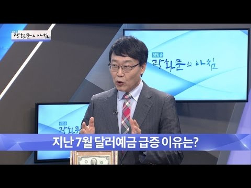 달러 사재기 열풍, 개인투자자 얼마나 샀나? [광화문의 아침] 308회 20160901