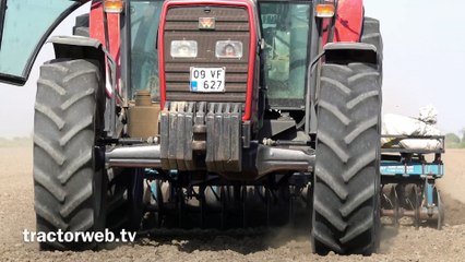 Massey Ferguson 3.105D & 5450
