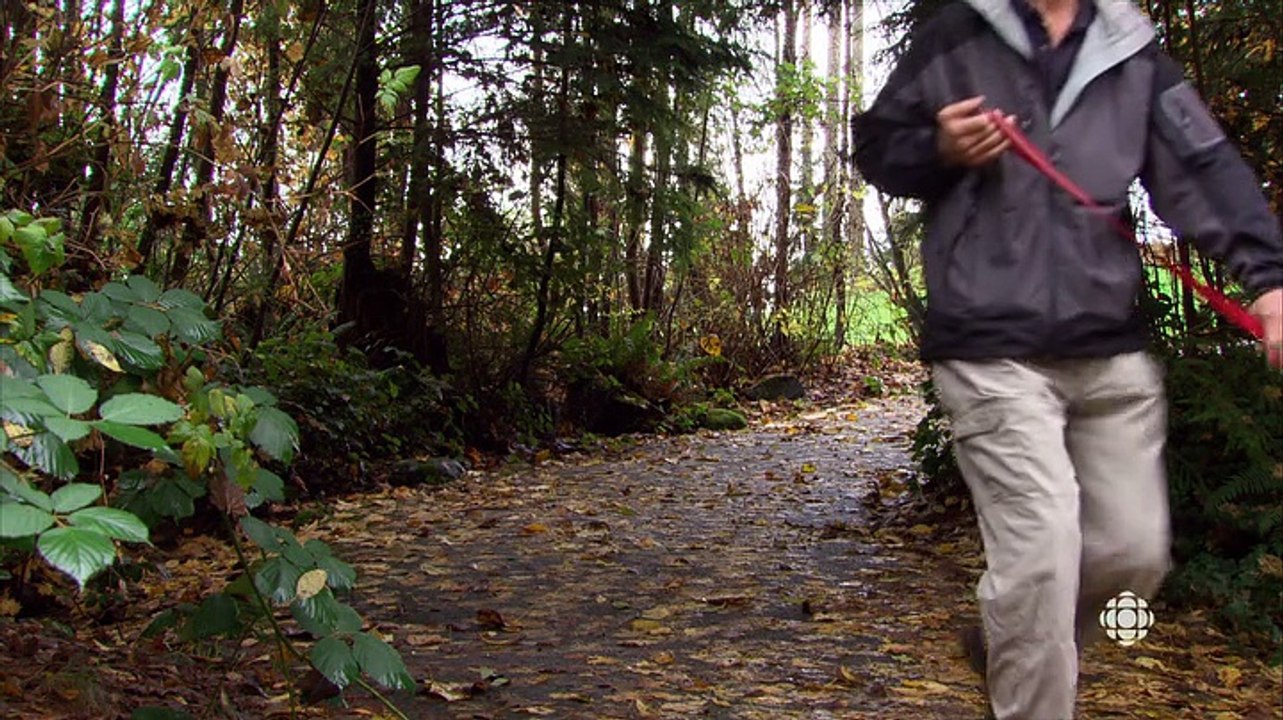 PLACEBO - must see for sick people