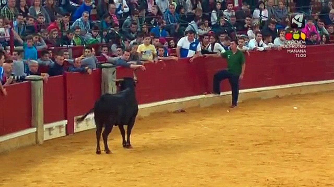 EN PELOTAS!
