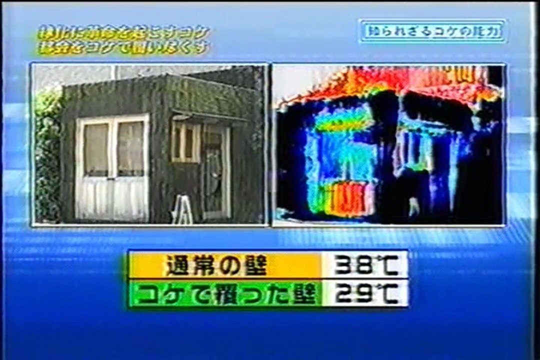 コケで緑化（12）