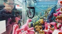 Il a attraper 15 000 peluches aux machines à pinces des fêtes foraines en 2016...