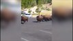 Un troupeau de bisons tape l'incruste sur un parking sous les yeux des touristes !