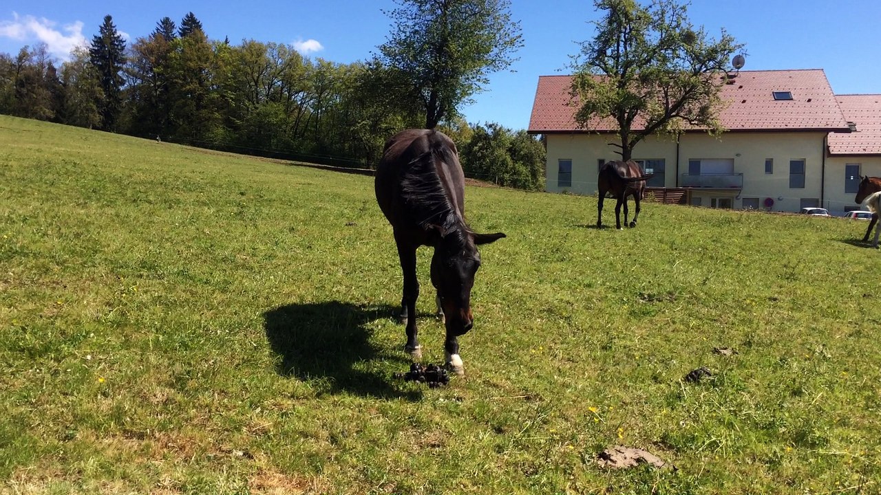 La fifille chérie, 29 avril 2017