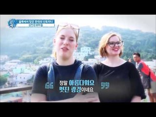 핫태핫태! 부산의 감천문화마을! [그들이 사는 세상] 8회 20160828
