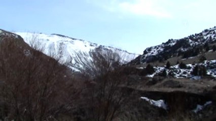 Arıcılar Bahar Mesaisinde