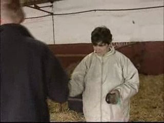 Centre d'Aide par le Travail du Marouillet : une écurie atypique entre La Rochelle et Rochefort