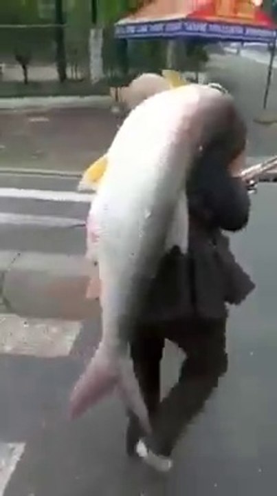 The big one carried downtown!