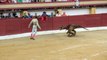 Un torero face à un dinosaure: ce spot anti-corrida fait son effet !