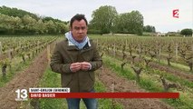 Alerte aux orages : les risques pour les vignobles du Bordelais