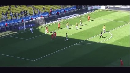Oguzhan Aynaoglu Goal HD - Fenerbahce 1-1 Rizespor - 30.04.2017
