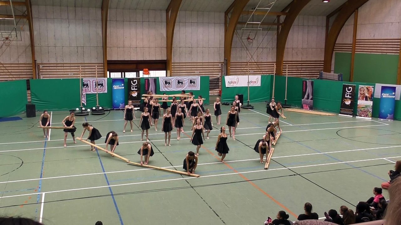 2017-04 gr gymnaestrada