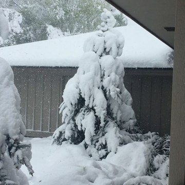 Heavy Snowfall Blankets Garden City