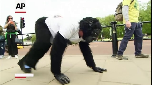 L'homme-gorille courant à quatre pattes termine le marathon de Londres en six jours