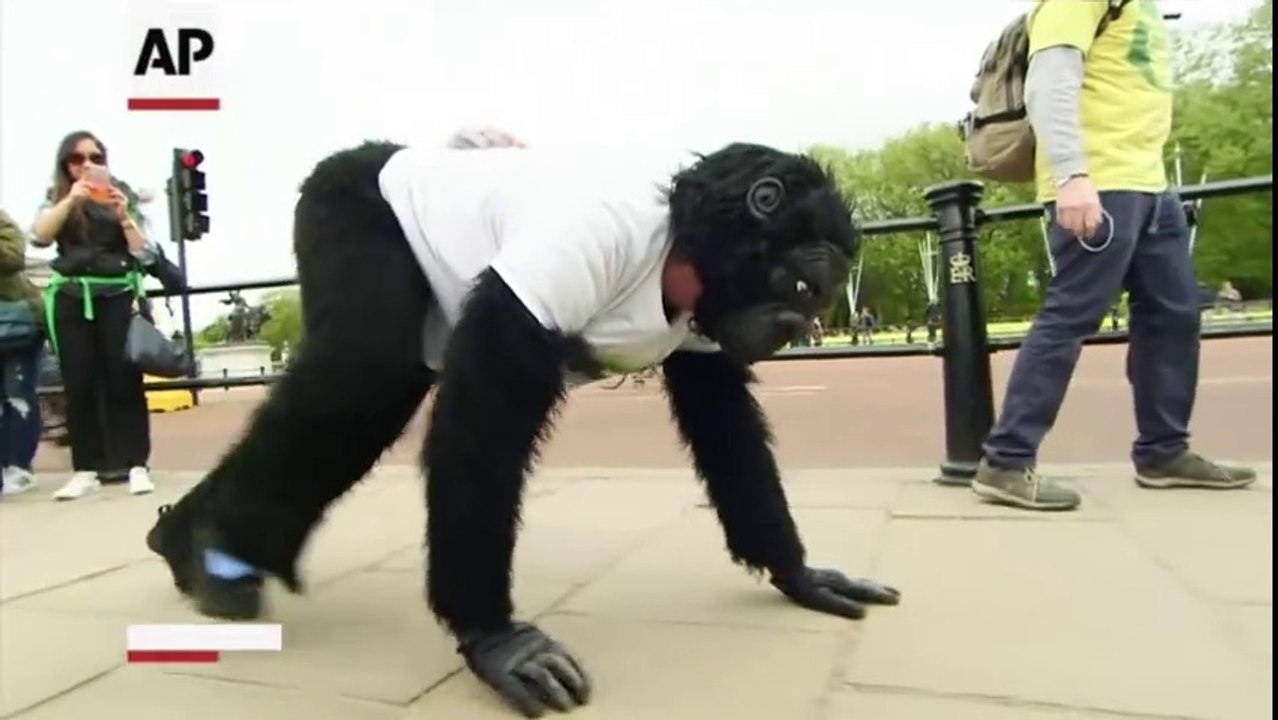 "L'homme-gorille" courant à quatre pattes termine le marathon de Londres en six jours