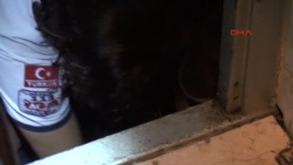 Adana Suriyeli Acemi Hırsız Asansör Boşluğuna Düştü