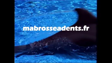 Brosse à dents Silver Care