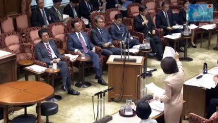 国会 民進 徳永エリ 爆笑 ブーメラン 稲田朋美氏が激怒で論破！TPP交渉 最新の面白い国会中継