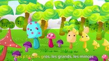 J'ai ramassé des champignons-wnbEc-d5J5s