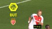 But Kamil GLIK (49ème) / AS Monaco - Toulouse FC - (3-1) - (ASM-TFC) / 2016-17