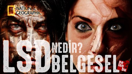 LSD Belgeseli