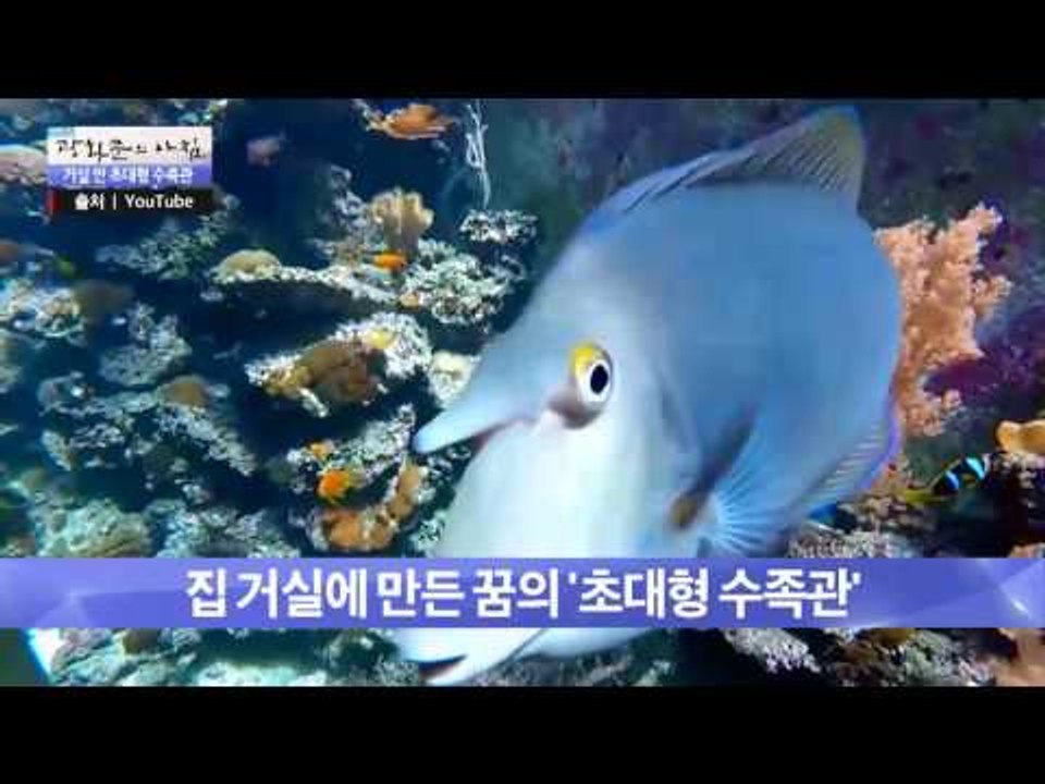 집 거실에 만든 ‘초대형 수족관’ [광화문의 아침] 304회 20160826