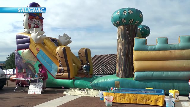 Alpes-de-Haute-Provence : la 17ème fête des plantes et de l'artisanat de Salignac dévoile ses origines