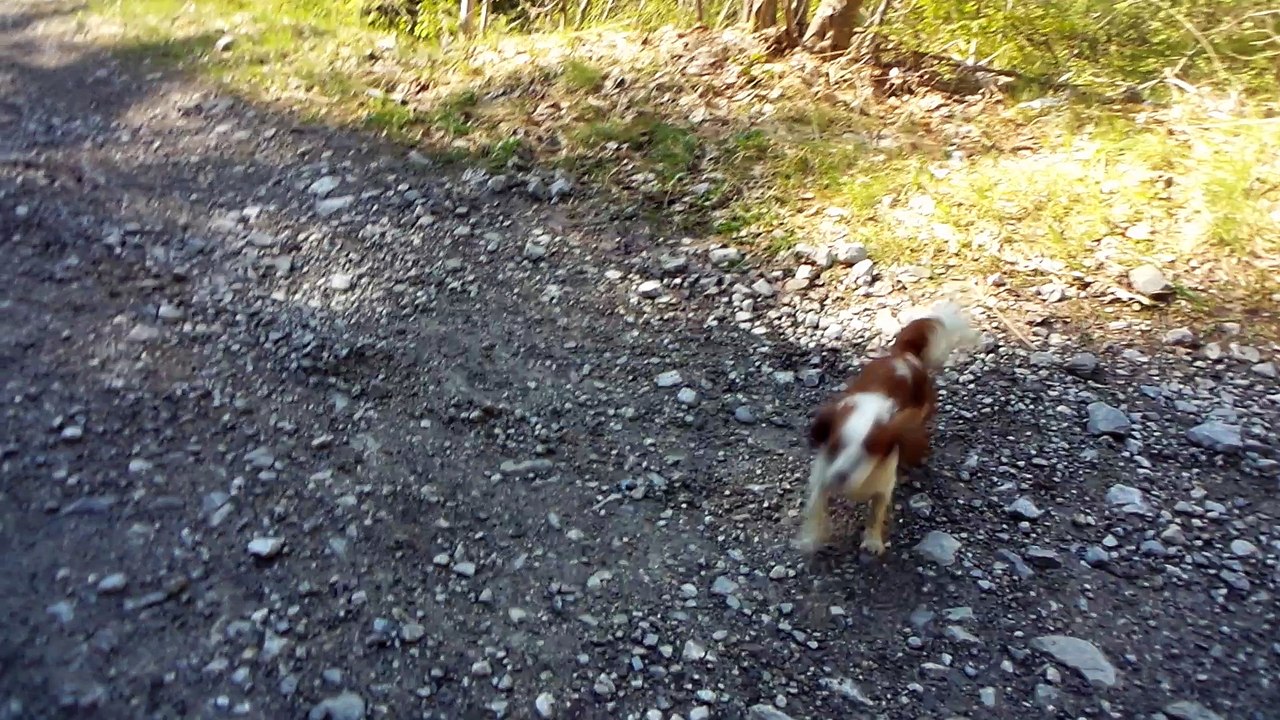 Encore un peu de neige